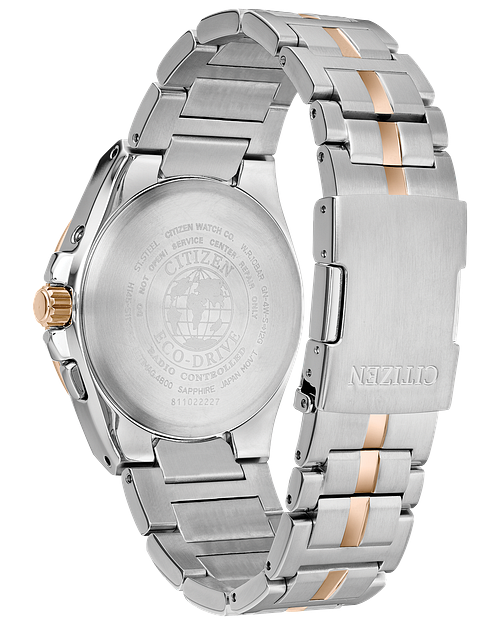 Citizen discount world perpetual